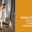 Felice Casorati: Collections and exhibitions from Europe to the Americas