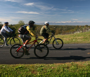 Прогулки на горных велосипедах и пешие маршруты в Альбе, Ланге и Роэро