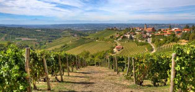 Il paesaggio collinare del Piemonte è costellato di vigneti e borghi. Foto di Rostislav Glinsky/Shutterstock