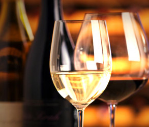 Wine Lovers und Weine aus dem Piemont